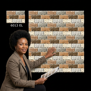 Carreaux muraux en céramique à finition mate pour extérieur, design effet brique, pour projets de développement communautaire, 250x375mm - Product Image 2