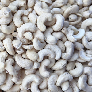 Nueces de Anacardo a Precio de Fábrica, W180 W320, Anacardos Santigo al por Mayor, Nueces de Anacardo con Impuestos Incluidos - Product Image 1