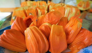 สินค้าขายดี - ขนุนแช่แข็งเกรดพรีเมียมสำหรับส่งออก - Product Image 5