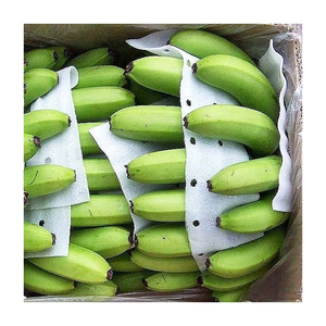 Bananes Cavendish vertes, produits frais de ferme de qualité supérieure pour la production de chips, la cuisine et la vente en gros - Product Image 4