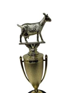 Trofeo de Metal Grabado Personalizado de la Mejor Calidad para Eventos Escolares, Universitarios y de Premiación, Disponible para Suministro al por Mayor - Product Image 3