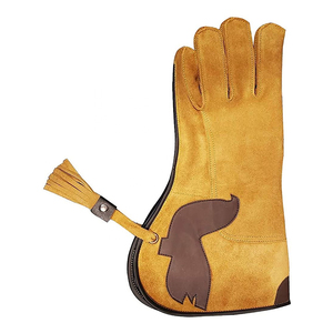 2026 Wholesale Price Breathable Professional Falconry <b>Gloves</b> Waterproof Best Quality Falconry Leather <b>Gloves</b> - Product Image 1