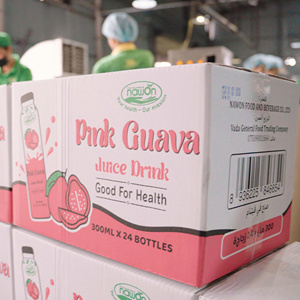 Jus de mangue Nawon No.1, marque vietnamienne, 300 ml, en bouteille de verre, boisson saine, jus de mangue en marque privée, échantillon gratuit. - Product Image 6