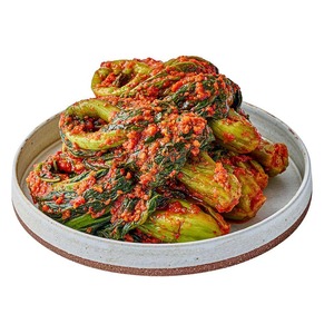 [Palgong Kimchi] Palgongsan Gat Kimchi, kimchi coréen traditionnel fermenté au moutarde verte épicée, épicerie asiatique - Product Image 1