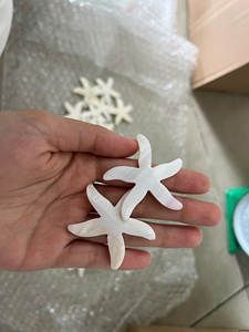 เปลือกหอยขัดเงาออร์แกนิคขนาดเล็ก ตกแต่งงานฝีมือ DIY สำหรับตกแต่งบ้านพักตากอากาศริมชายหาด งานแต่งงาน-CARYLN - Product Image 3