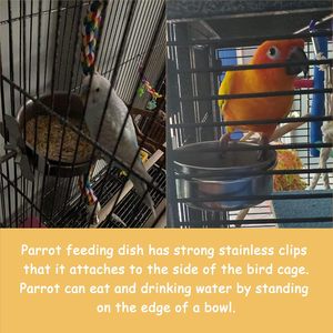 Soporte de Acero Inoxidable para Comedero de Pájaros, con Abrazadera Ajustable, Impermeable, para Loros, Comida y Agua para Pájaros - Product Image 6