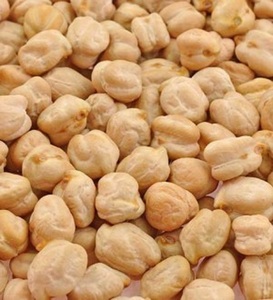 Pois chiches Kabuli bio torréfiés de qualité supérieure, 7mm-12mm max, séchés, bruts, en vrac, emballés en sac - Product Image 3