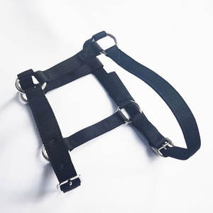 Équipement de contrôle pour l'équitation, bridons pour une manipulation sereine, sangles doublées pour un confort accru du cheval, bridons pour chevaux - Product Image 3