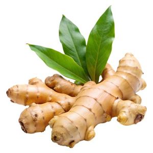 ขิงสดเวียดนามสำหรับส่งออก จำหน่ายให้ผู้จัดจำหน่ายส่ง ผู้ผลิตอาหาร และผู้นำเข้าทั่วโลก แบบดิบ - Product Image 1