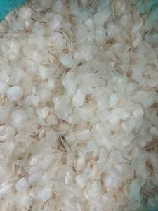 Écailles de poisson séchées de qualité supérieure en gros, naturelles, blanches, pour bar et tilapia, riches en collagène, fournisseur en vrac du Vietnam / ANNA DO VILACONIC - Product Image 6