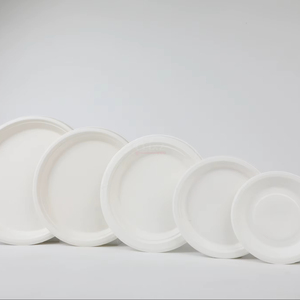 Plato Desechable Biodegradable de 6 Pulgadas, Hecho de Bagazo de Caña de Azúcar, Libre de Plástico, No Tóxico, Certificado ISO, Compostable, Ecológico, Apto para Microondas - Product Image 2