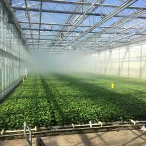 Watersun Garden Greenhouse Watering Irrigation 4 Way Outlet Foggers Cross Misting Nozzle Sprayer Anti Drip Green Delrin - Product Image 6