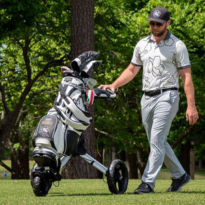 Carrito de Golf Eléctrico Golf-X10 de Alta Calidad, Gama Signature, Control Remoto, Función de Empuje, Batería Adicional Incluida, 12 Meses de Garantía - Product Image 2