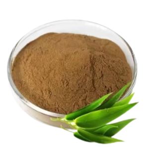 Bamboo <b>Extract</b> Premium Plant <b>Extract</b> for Various Applications - Product Image 4