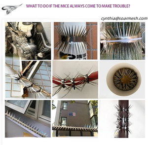 Pointes d'oiseaux pour les pigeons d'extérieur et autres petits oiseaux Évitez efficacement les ratons laveurs et les écureuils grimpant aux clôtures - Product Image 3