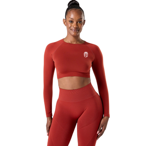Top Corto Deportivo de Manga Larga sin Costuras para Mujer, Color Rojo Ladrillo, Alta Elasticidad, para Entrenamiento, Yoga, Ejercicio, Ropa Deportiva - Product Image 1