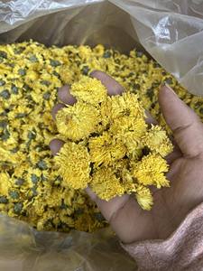 Dried Chamomile <b>Flowers</b> Natural Herbal Tea Vietnam Factory Bulk Supplier Manufacturer Export - Product Image 3