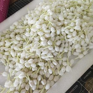 ดอกมะลิทำมือจากดินเหนียว |   ดินเหนียวมะลิไทยแบบสมจริง |   อุปกรณ์งานฝีมือตกแต่งดอกไม้ - Product Image 1