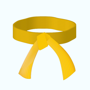 Cinturones de Karate Personalizados con OEM, Nuevo Modelo 2026, Cinturones de Karate de Artes Marciales de Alta Calidad 100% Algodón, Precio al por Mayor - Product Image 4