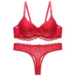 Sexy Transparent Lace Women Panties Breathable Soft Underwear European Fashion Comfortable Lingerie Set - Product Image 4