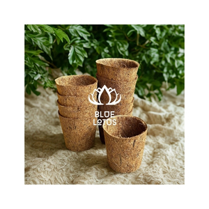 EXPÉDITION LE JOUR MÊME Pot en fibre de coco durable pour la culture de semis et le repiquage facile, utilisation intérieure et extérieure - Product Image 1