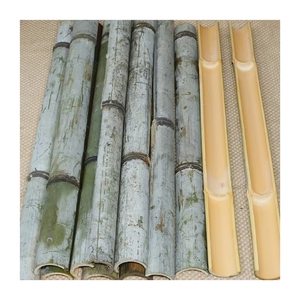 BEST SELLER Bandes de bambou écologiques de qualité supérieure, flexibles et durables, pour la fabrication de cerfs-volants, approvisionnement en gros - Product Image 1