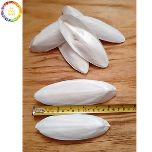 Os de Seiche Séché de Haute Qualité VF Premium – Alimentation à Mâcher pour Oiseaux : Perroquet, Canari, Pinson, Budgerigar et Volière – Produits pour Animaux de Compagnie - Product Image 6