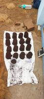 KL Export Sabut Kelapa Organik & Blok Peat 5Kg Daya Tahan Air Tinggi Ramah Lingkungan untuk Pertanian & Bunga