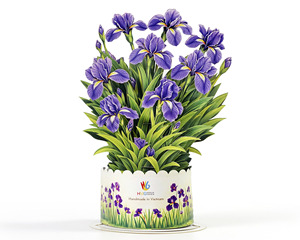 3D Pop Up Birthday Flowers Card with Envelope - Product Image 3