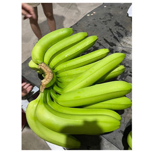 Best Quality <b>Fresh</b> green Cavendish <b>Banana</b> wholesale price - Product Image 1