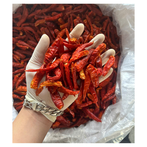 Piments séchés pour la transformation des épices, la production de paillettes de piment et le commerce de gros - Product Image 2
