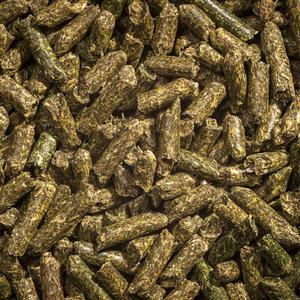 Granulés d'alfalfa vert pour la nutrition animale, granulés d'alfalfa riches en fibres, stimulent l'immunité et la santé globale - Product Image 6