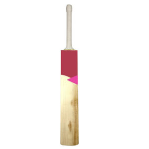 Batte de cricket légère Kashmir Willow à long manche, fabriquée en usine OEM, pour l'entraînement et la pratique du cricket pour débutants - Product Image 1