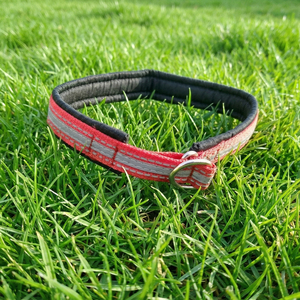 Collar Navia Clásico de Lujo, Simple, Ajustable Automáticamente, Reflectante, de Liberación Rápida, Duradero, de Nailon Suave, con Cintas, para Perros y Gatos, Primavera/Verano - Product Image 1