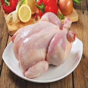 Alas de Pollo Enteras Congeladas Halal de Alta Calidad, Proceso IQF, Enlatadas, Nutritivas, Bajas en Sal, Vida Útil de 3 Años - Product Image 5