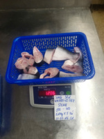 Steak de Pangasius Congelé de Haute Qualité IQF, Morceau Entier, 2-5cm, Faible Teneur en Glucides, Grade A, Durée de Conservation 24 Mois, VHFood, Vrac
