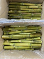 Diepvries biologische suikerriet, IQF verwerkt voor dranken & smoothies, bulkverpakking uit Vietnam (Tien Giang)-99 Gold Data