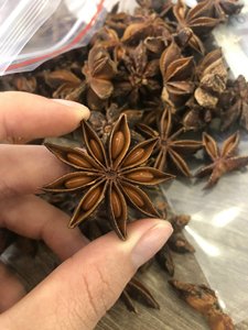 [Keith Vilaconic] Anís Estrellado Vietnamita Premium - Anís Estrellado Entero Seco Natural de Alta Calidad, Venta al por Mayor, 2 Años de Duración - Product Image 1