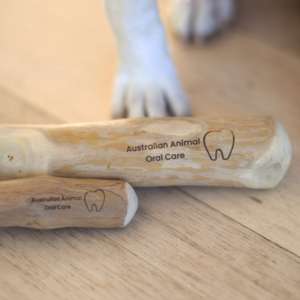 Bâton à mâcher pour chien en bois de café du Vietnam 100% naturel, durable, sans éclats, biologique, jouet de soin dentaire pour les chiens qui mâchent fort - Product Image 5