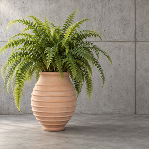 Pot en ciment style provençal français, terre cuite délavée à ventre cintré, pour lavande, romarin et herbes, pour cuisine et jardin <span class=keywords><strong>de</strong></span> style cottage - Product Image 3