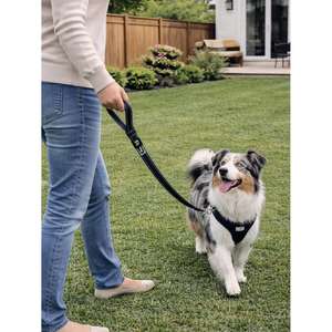 Guinzaglio di sicurezza riflettente Yommy 2.5110 cm con adattatore per cintura, guinzaglio per animali domestici ad alta visibilità per passeggiate all'aperto - Product Image 4