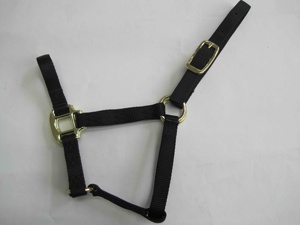 สายจูงม้าไนลอนหลากสีพร้อมหัวเข็มขัดปรับได้สำหรับขี่ม้าและฝึกม้า - Product Image 3