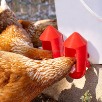 YYC personnalisé en plastique volaille buveur tasse Pigeon oiseau poussin eau tasse poulet abreuvoir avec couvercle couvercle