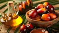 Aceite de Palma para Cocinar Cradle Life LAP NATURE - 12 Meses de Vida Útil, Listo para Usar, Guardar en Lugar Fresco y Seco, Lejos de la Luz Solar, Fabricado en India