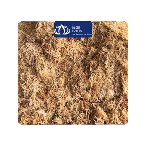 [MEILLEURES VENTES] MUSSE DE MER SÉCHÉE 100% NATURELLE BLUE LOTUS pour la Transformation Alimentaire, Recettes Culinaires, Ingrédient pour Soupe, Origine Vietnam, Durée de Conservation 24 Mois - Product Image 1