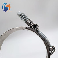 Collier de serrage à ressort en T en acier inoxydable réglable pour applications automobiles