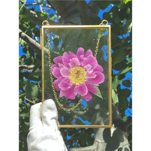 Cadre photo flottant vintage en métal doré pour fleurs pressées, vitrine murale pour art botanique, cadre en verre moderne pour la maison - Product Image 1
