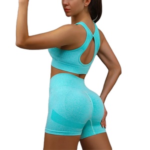 Wholesale Custom logo 2pcs Yoga Sets Womens Outfits Sports <b>Bra</b> Quick Drying Shorts Set Female - Product Image 2