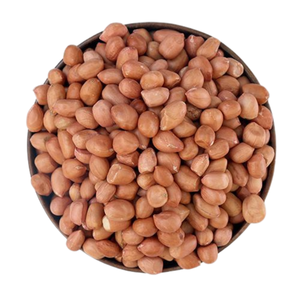 Polvo de Extracto de Semilla de Cacahuete, Fabricante de la India, Patil Foods - Product Image 1