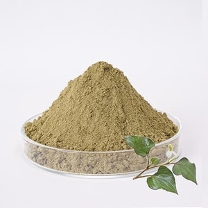 POLVO DE HOJA DE MENTA DE PESCADO ORGÁNICO PARA LA INDUSTRIA COSMÉTICA |   PROVEEDOR DE INGREDIENTES VÉGANSOS NATURALES DE ALTA CALIDAD - Product Image 2